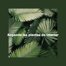 Regando las plantas de interior - Chill Music for Reading