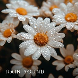 Drift Into Sleep - Rain Sound