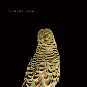 Armchair Apocrypha - Andrew Bird