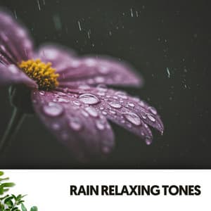 Rain Relaxing Tones: Melodies of the Storm - Música Relajante Para Leer