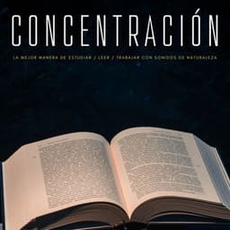 Concentración: La Mejor Manera De Estudiar / Leer / Trabajar Con Sonidos De Naturaleza - Concentracion Examenes