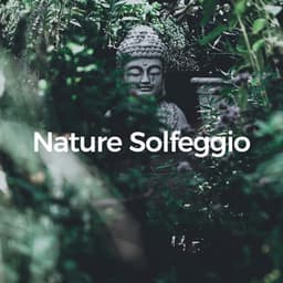 Nature Solfeggio - Masala Roo