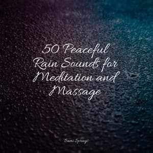 50 Peaceful Rain Sounds for Meditation and Massage - The Rain Library