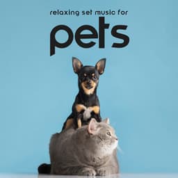 Relaxing Set Music for Pets: Puppy Lullabies, Gentle Music to Sleep for Your Dogs and Cats, Calm Down Your Animals - Pet Relax Academy