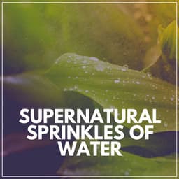 Supernatural Sprinkles of Water - Rain Recordings