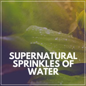 Supernatural Sprinkles of Water - Rain Recordings
