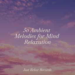 50 Ambient Melodies for Mind Relaxation - Meditar Profundamente