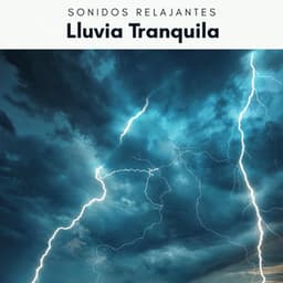 1 Lluvia Tranquila - Academia de Música con Sonidos de la Naturaleza
