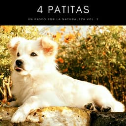 4 Patitas: Un Paseo Por La Naturaleza Vol. 2 - Academia de Música con Sonidos de la Naturaleza