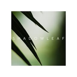 Shadowleaf: Nature’s Tranquil Rhythms - Sound of Nature Library
