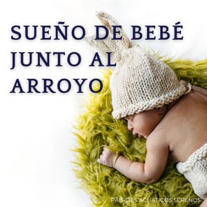 Sueño De Bebé Junto Al Arroyo: Paisajes Acuáticos Serenos - Sonido del Agua Ruido Blanco Natural