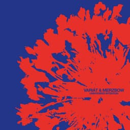 Unintended Intention - Variát