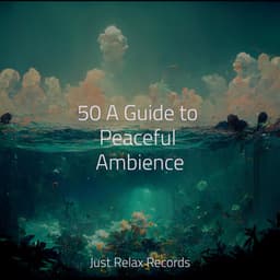 50 A Guide to Peaceful Ambience - Zen