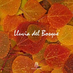 Lluvia del Bosque - Lluvia Del Bosque