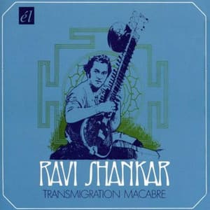 Transmigration Macabre - Ravi Shankar