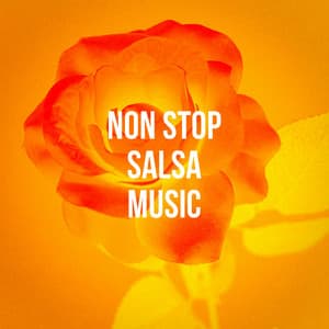 Non Stop Salsa Music - Salsa All Stars