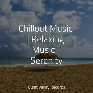 Chillout Music | Relaxing Music | Serenity - Binaural Creations