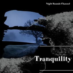 Tranquility: Gentle Night Sounds - Night Sounds Channel