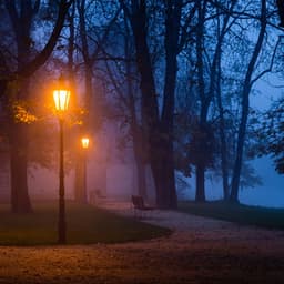 Peaceful Evening Melodies: Calm Tunes for Relaxation - Buddha's Lounge