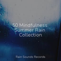 50 Mindfulness Summer Rain Collection - Relaxing Spa Music