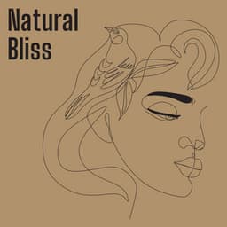 Natural Bliss - Rain Sounds Nature Collection