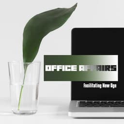 Office Affairs Facilitating New Age - Chill Out 2019