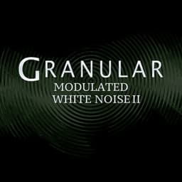 Modulated White Noise II - Granular