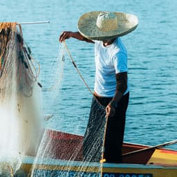 Tranquil Work Transactions: Meditation Music with Waters - Focus and Work