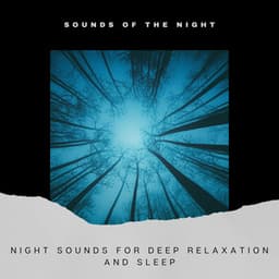 Night Sounds for Deep Relaxation and Sleep - Sounds of the Night