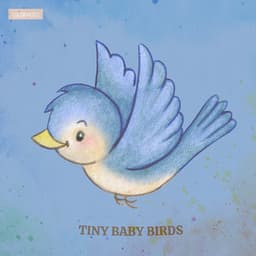 Tiny Baby Birds - Lulubabies