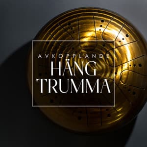 Avkopplande häng trumma - Ali Dhyana