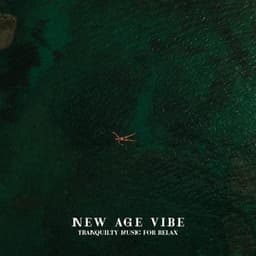 New Age Vibe: Tranquilty Music for Relax, Soothing Tones, Calmness of Mind, Time with Nature - Ministry of Relaxation Music
