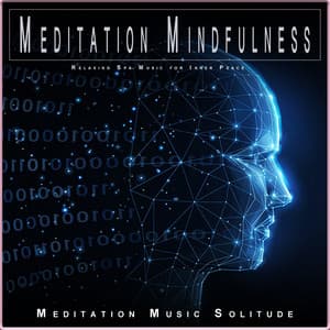 Meditation Mindfulness: Relaxing Spa Music for Inner Peace - Meditation Music Solitude