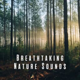Breathtaking Nature Sounds - Nature Sounds Nature Music