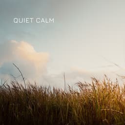 Quiet Calm - Decidic FX