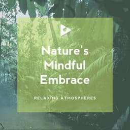 Nature's Mindful Embrace - Relaxing ASMR