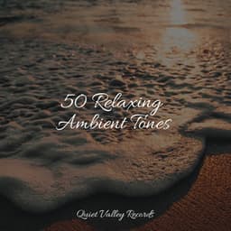 50 Relaxing Ambient Tones - Namaste Healing Yoga