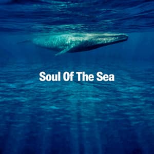 Soul Of The Sea - Rhodium Music