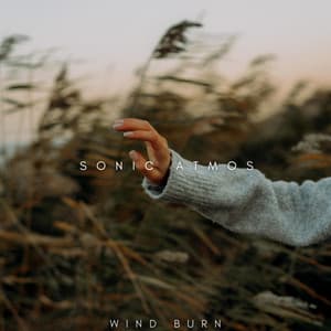 Wind Burn - Sonic Atmos