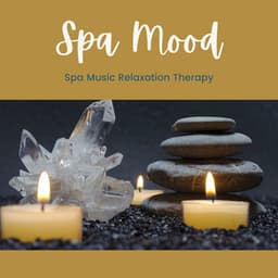 Spa Mood - Spa Music Relaxation Therapy - Relaxation and Meditation SPA Music