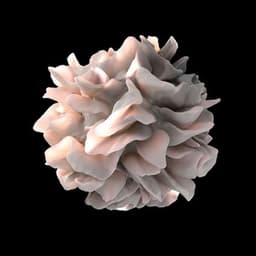 For Those About to Love - Benjamin Finger