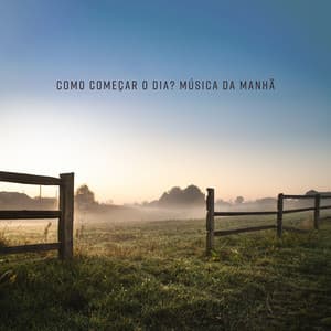 Como Começar o Dia? Música da Manhã - Tony Rodrigues