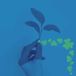 Casual Bossa Guitar Trio - Background for Peaceful Thursday - Musica da Lavoro