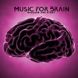 Music for Brain Massage and Study Motivation: Calming Music, Make You Feel Better, Exam Anxiety Relief, Zen Music for Study - Brain Study Music Guys