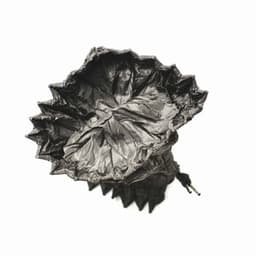 Fabulous Ambiance for Happy Sundays - Jazz Relax Lounge