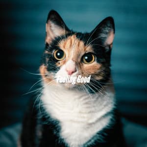 Feeling Good - Afternoon Chill Out Playlist