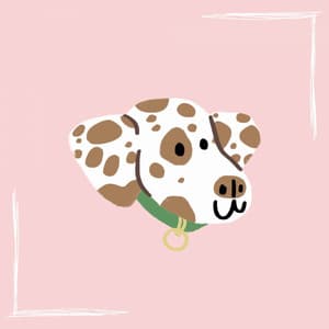 Music for No Stress Doggy - Doggy Music Radio