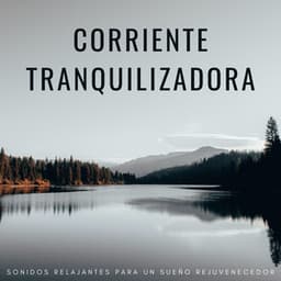 Corriente Tranquilizadora: Sonidos Relajantes Para Un Sueño Rejuvenecedor - Corrientes de sueños