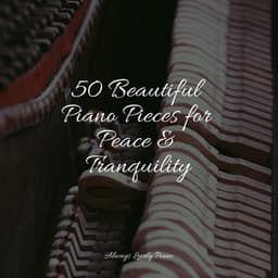 Simply Pure Songs for Comforting Work and Study - Relaxing Piano Music Masters