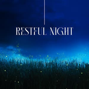 Restful Night: Tranquility, Gentle Slumber, Evening Relaxation - Hypnosis Music Collection